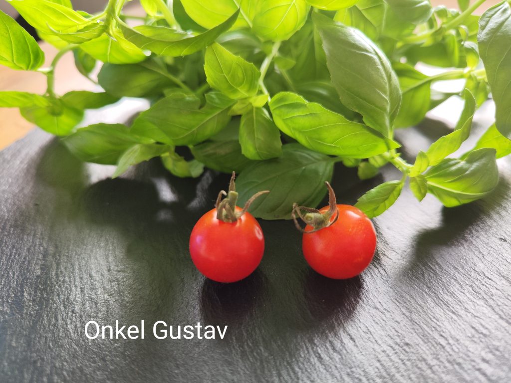 Onkel Gustav