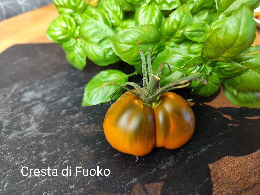 Cresta di Fuoko