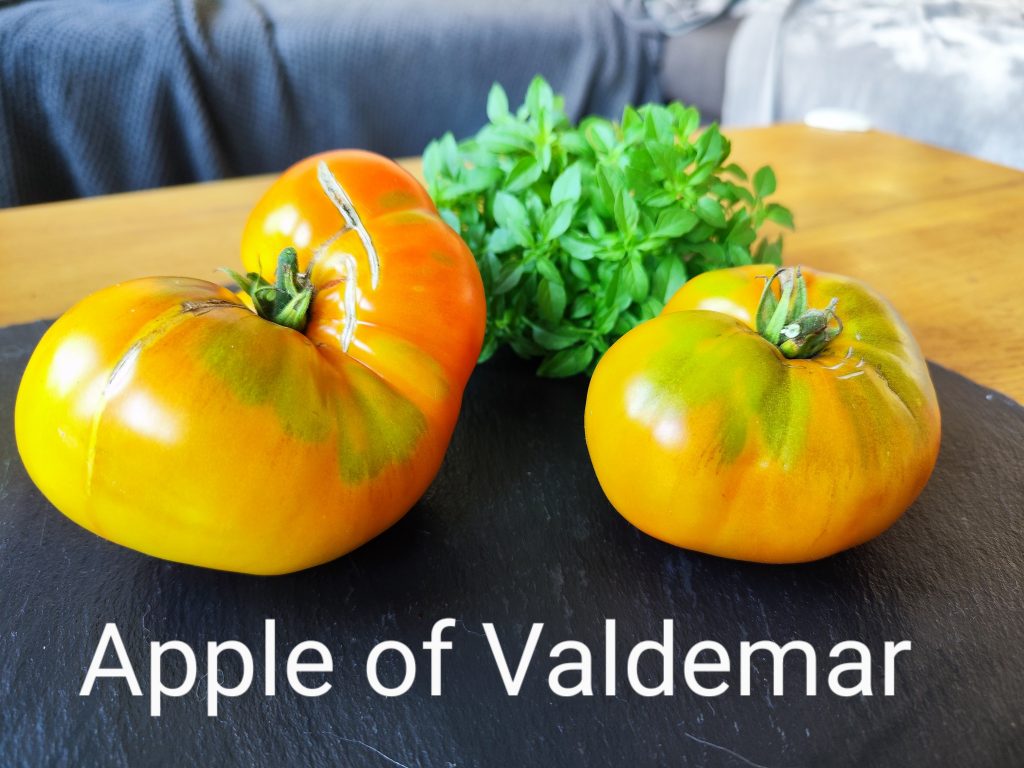 Apple of Valdemar