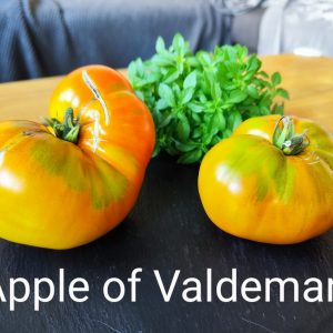 Apple of Valdemar