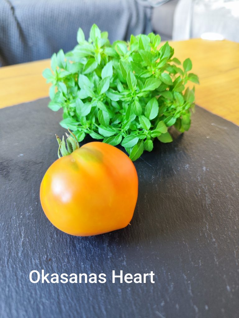 Oksanas Heart F4