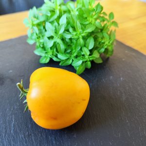 Honigsüßer Erlöser