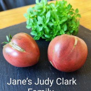 Jane’s Judy Clark Family