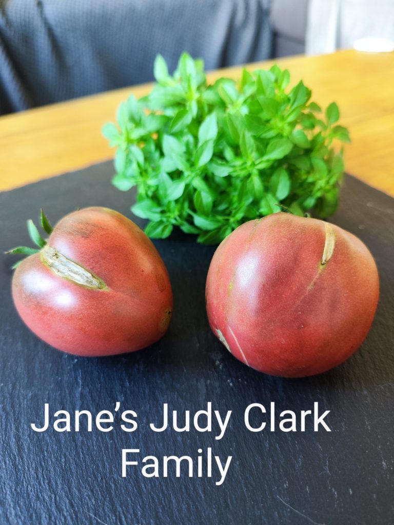 Jane’s Judy Clark Family