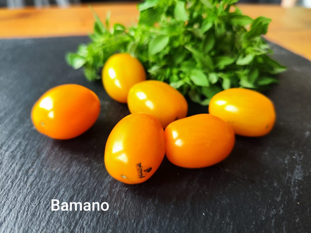 Bamano