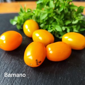 Bamano