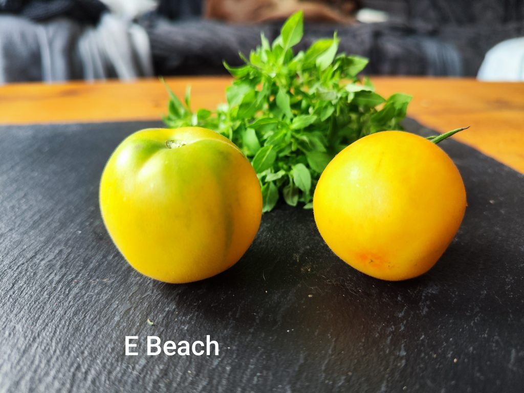 E-Beach