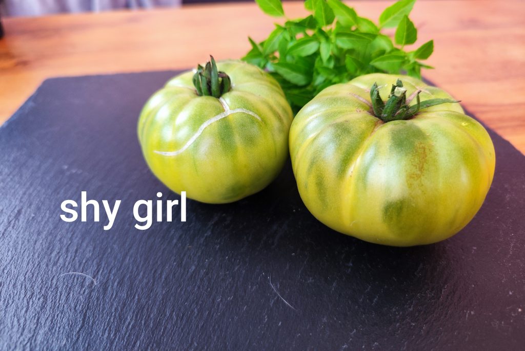 Shy girl