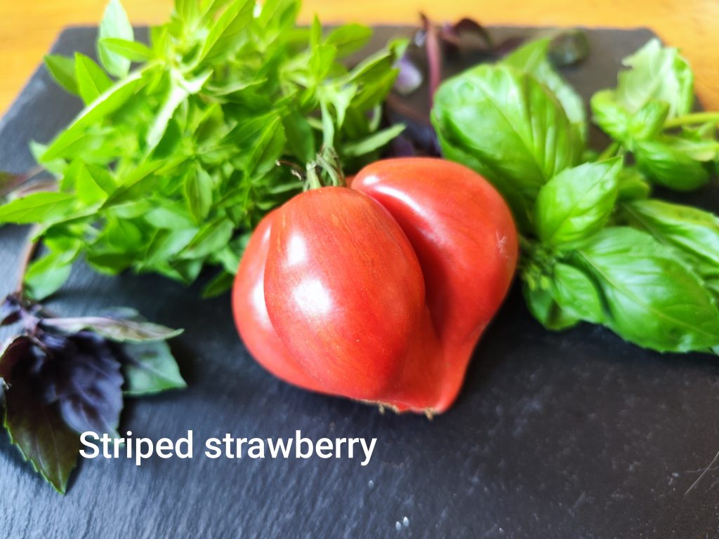 Striped Strawberry