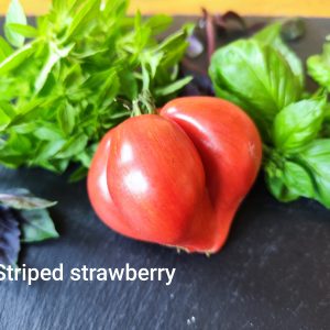 Striped Strawberry