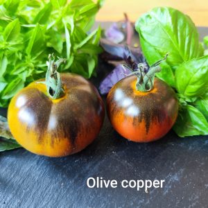 Copper olive