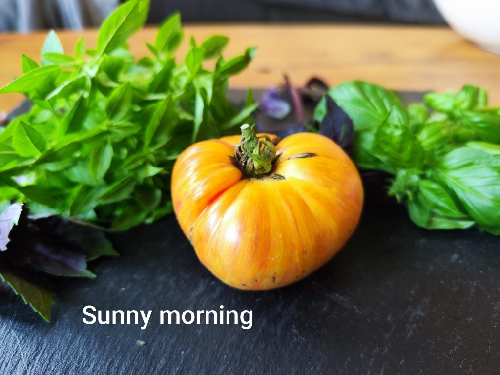 Sunny Morning