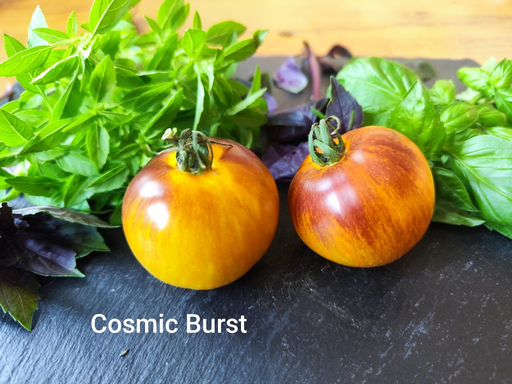 Cosmic Burst