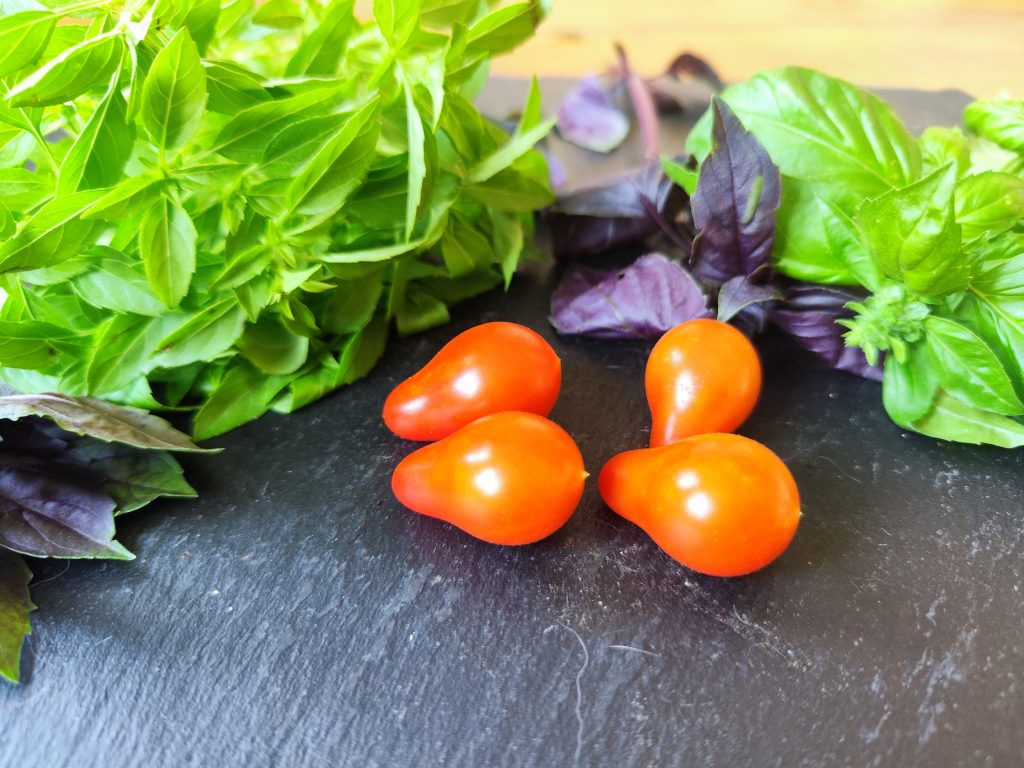 Zauberglöckchen