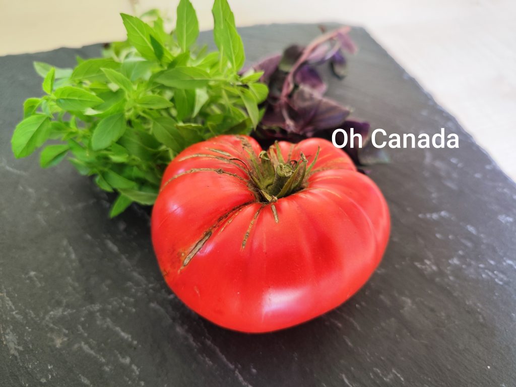 Oh canada