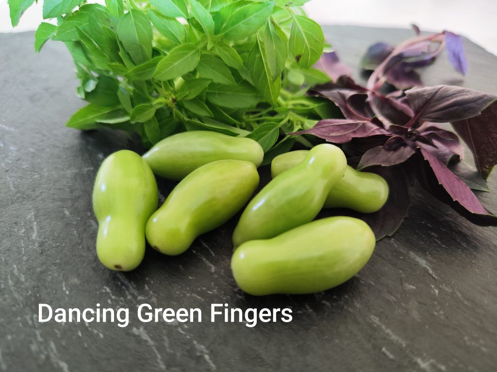 Dancing Green Fingers