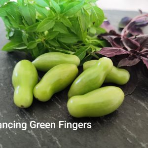 Dancing Green Fingers