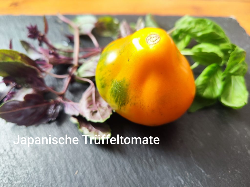 Japanische Trüffeltomate