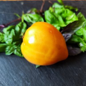 The Heart of Capital is orange