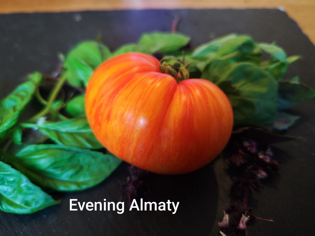Evening Almaty