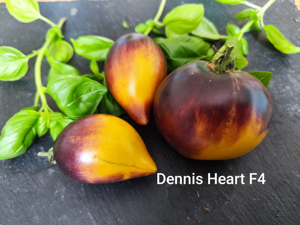 Denis's heart F5