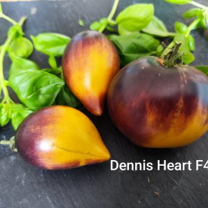 Denis's heart F5