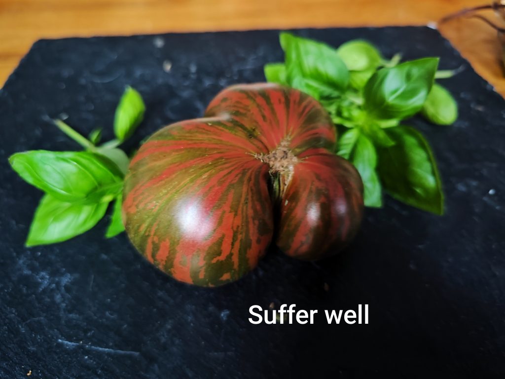 Suffer well