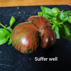 Suffer well