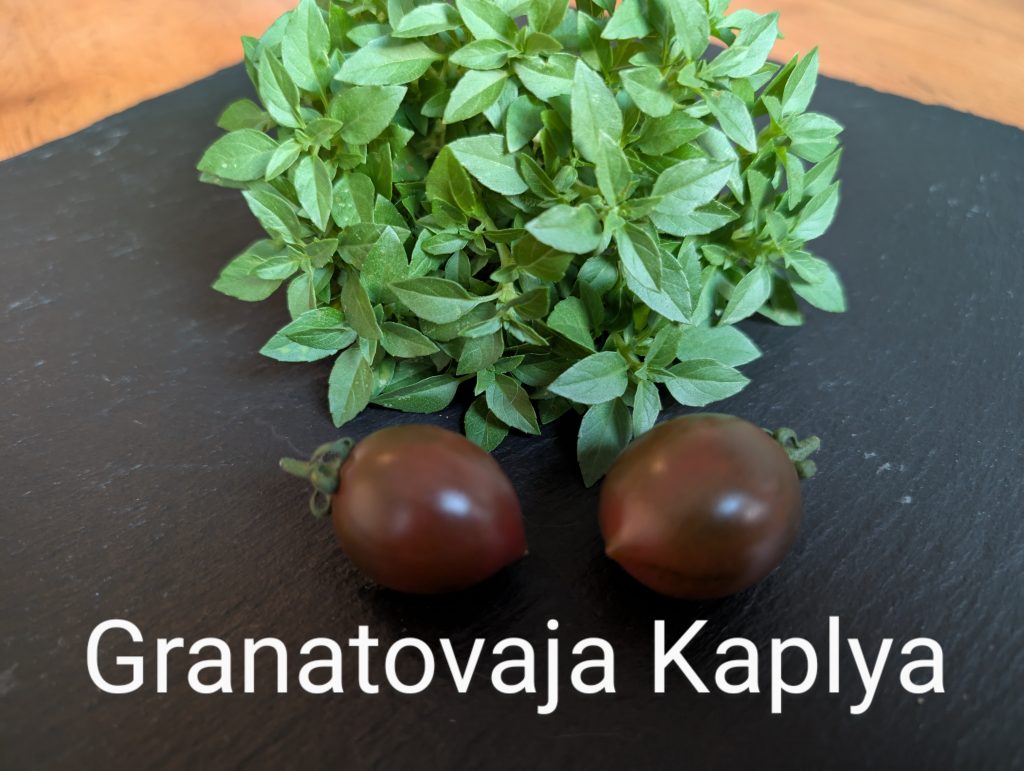 Granatovaja Kaplya