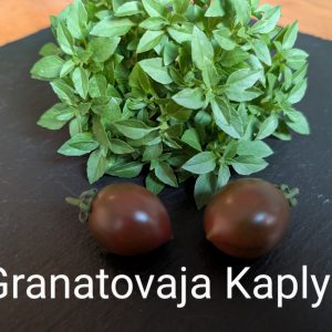 Granatovaja Kaplya