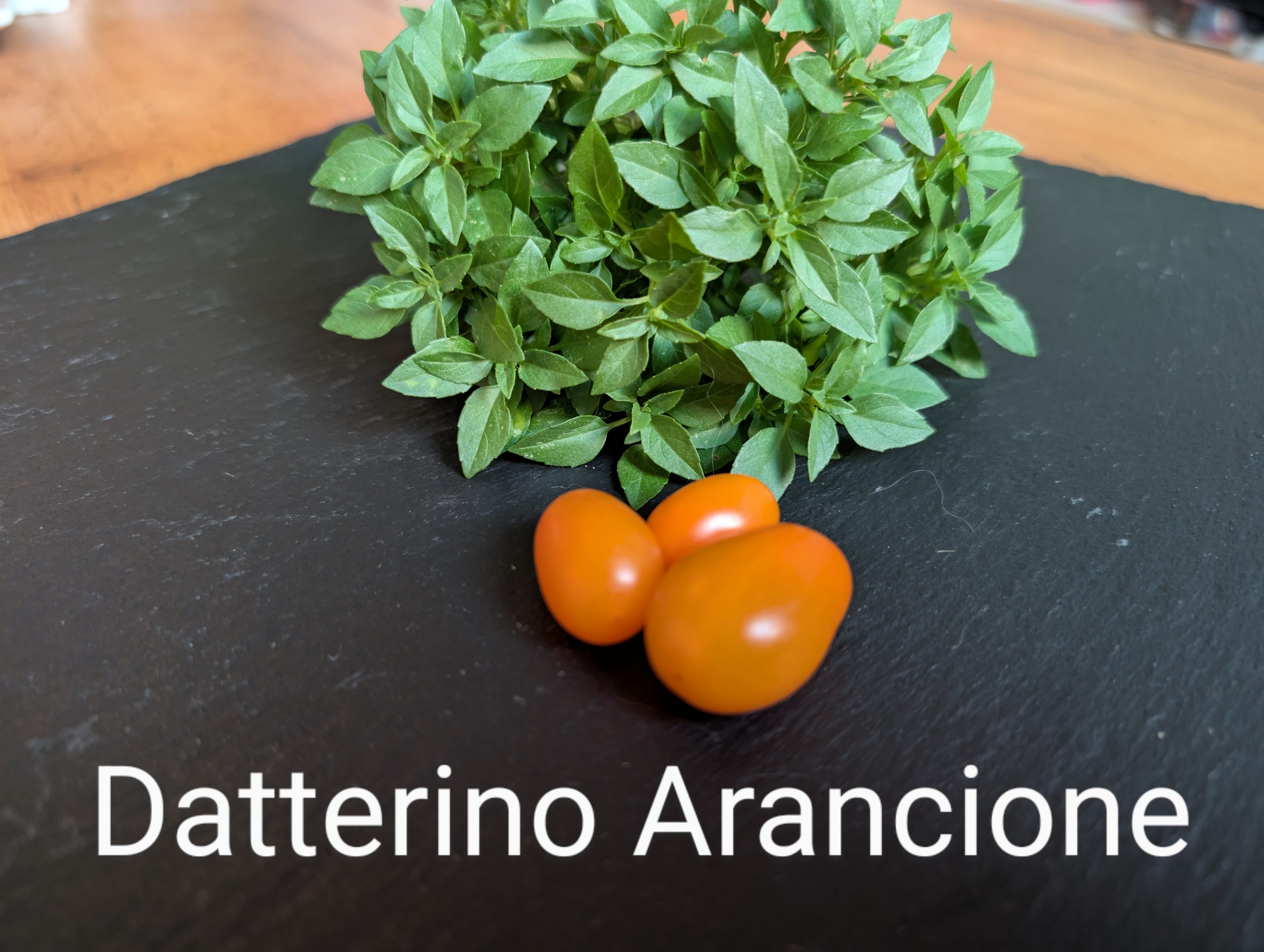Datterino Arancio