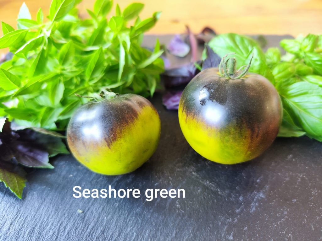 Seashore green