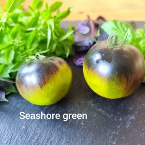 Seashore green