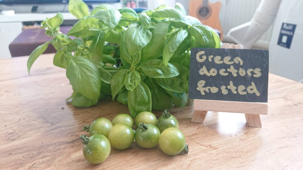 Green Doctors Frosted