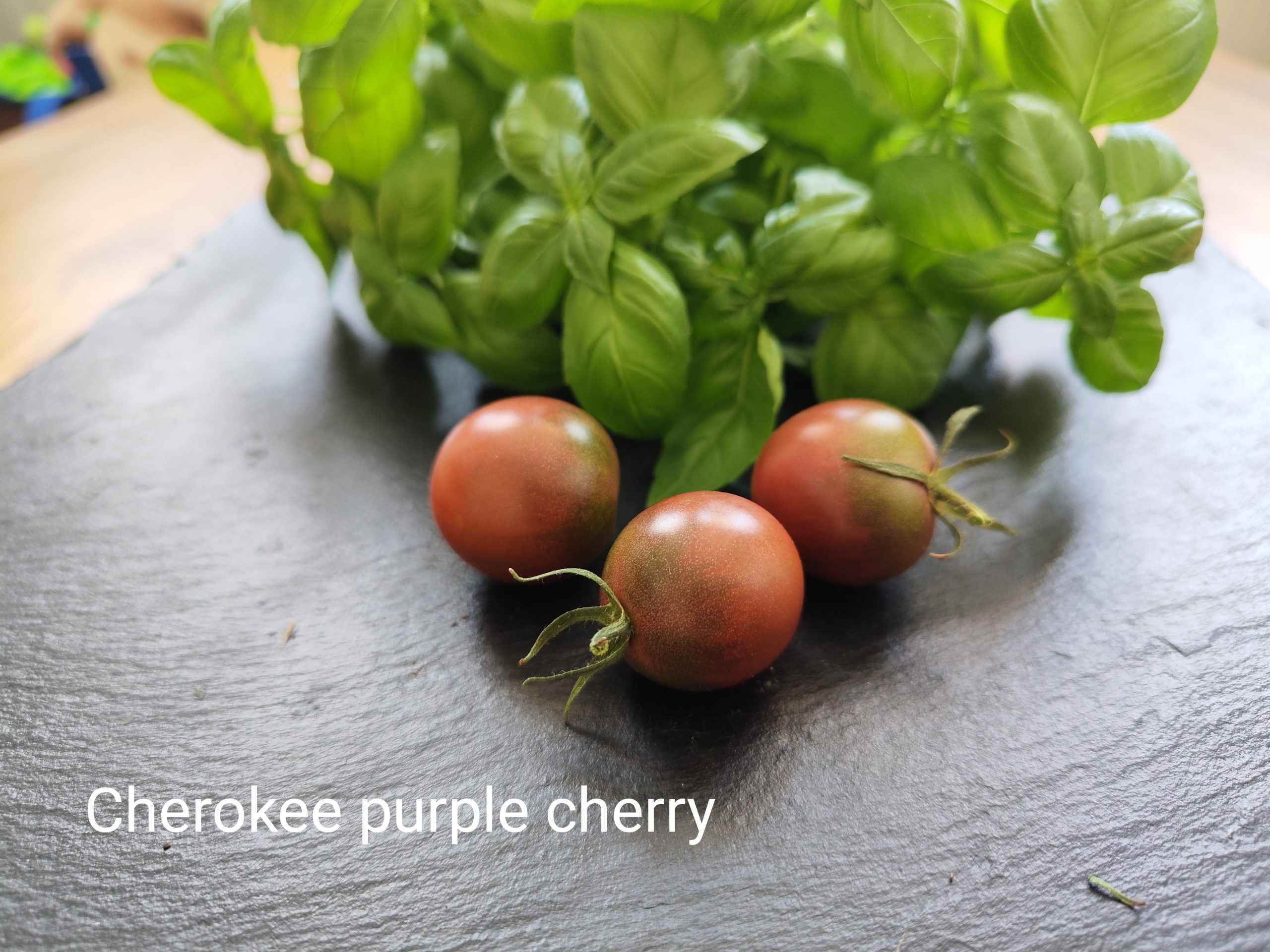 Cherokee purple cherry