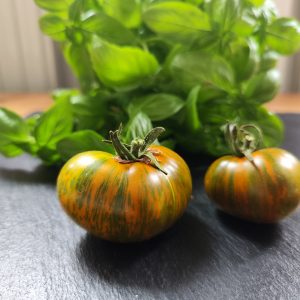 Butterscotch stripes