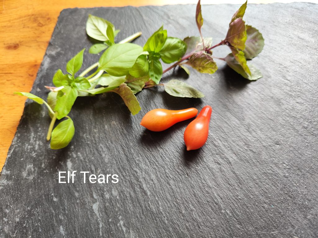 Elf Tears