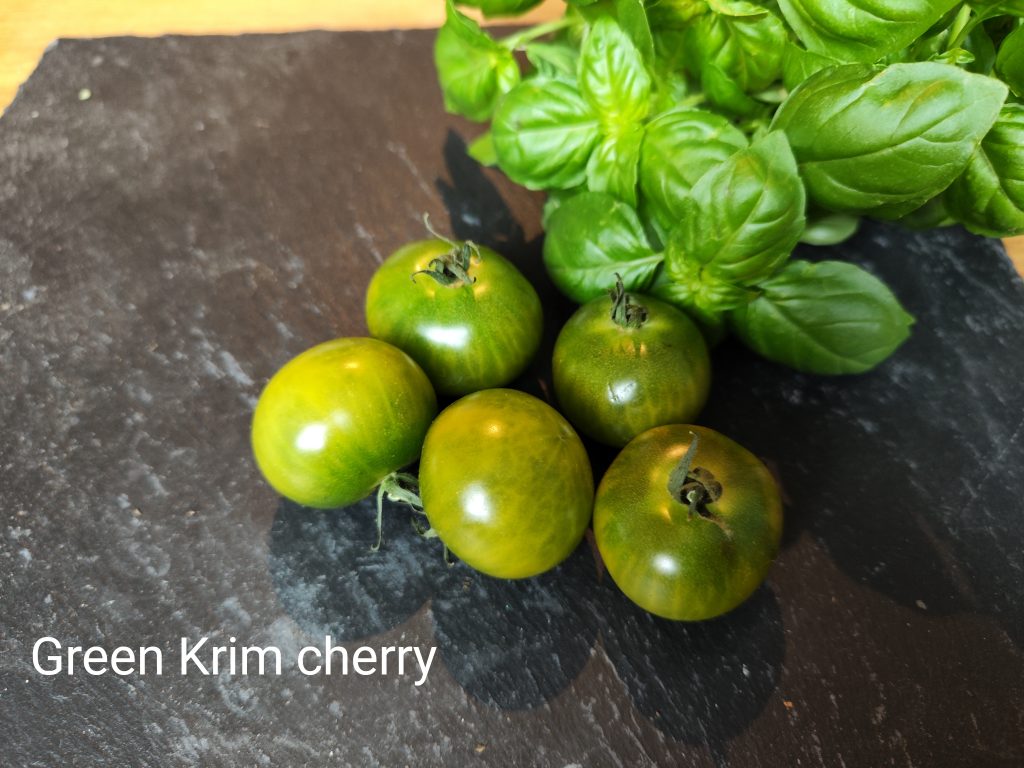 Green Krim cherry