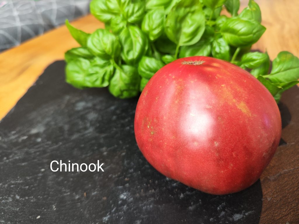 Chinook