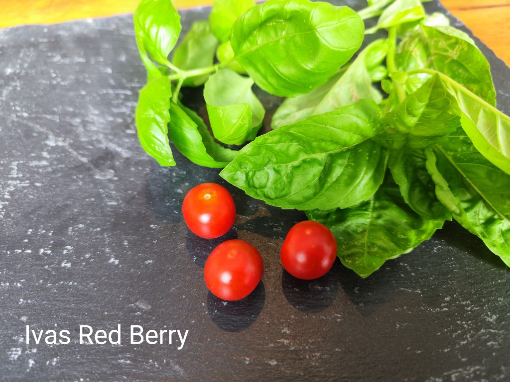 Iva's Red Berry
