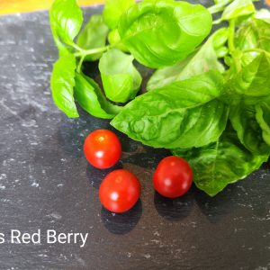 Iva's Red Berry