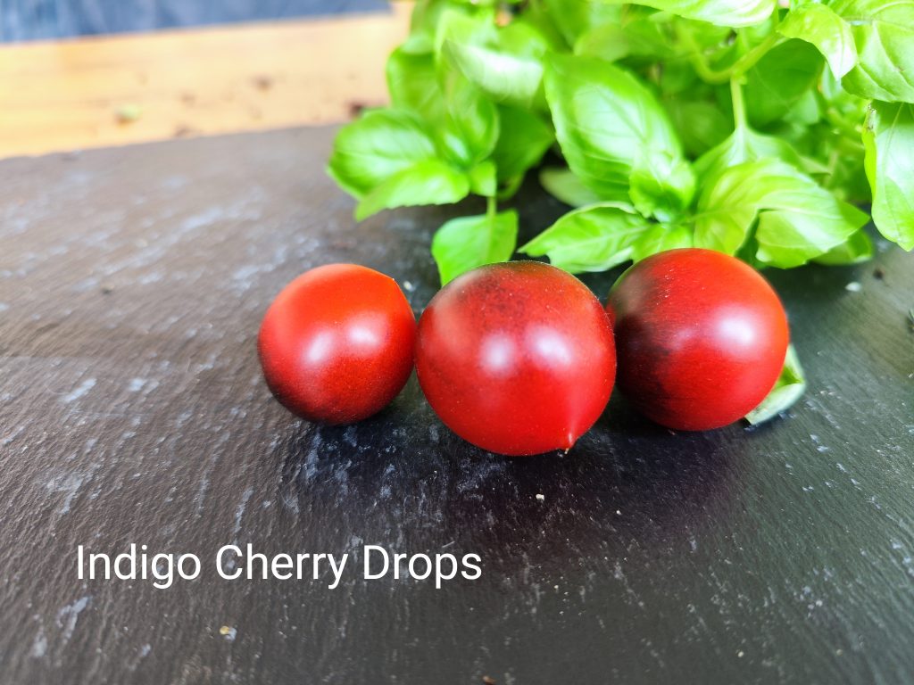 Indigo cherry drops