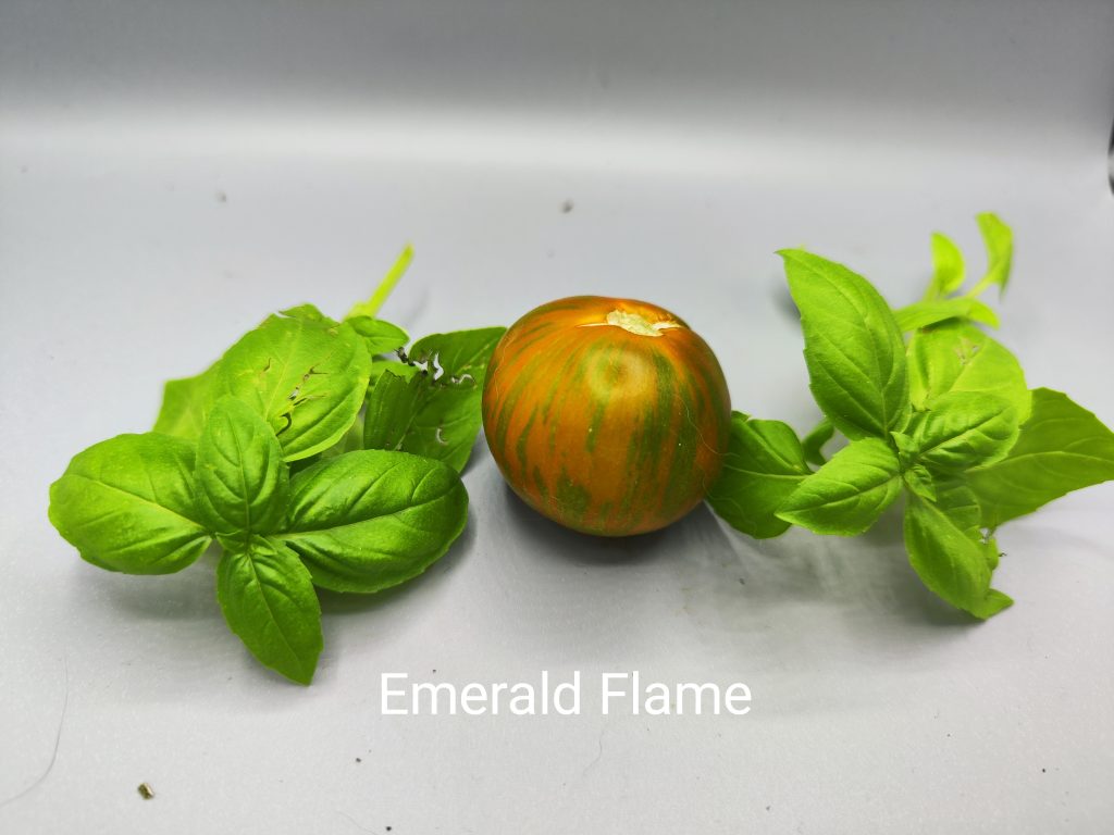 Emerald Flame