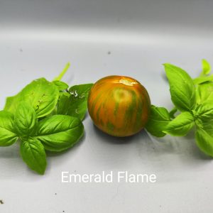 Emerald Flame