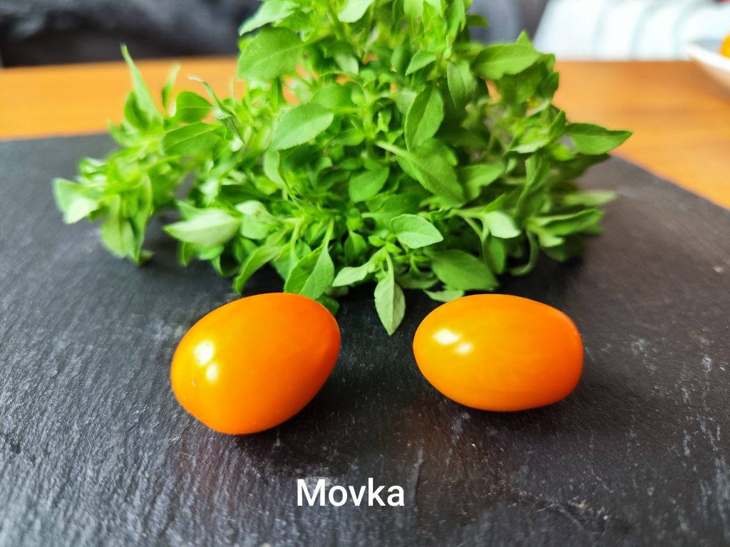Movka