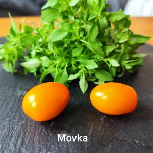 Movka