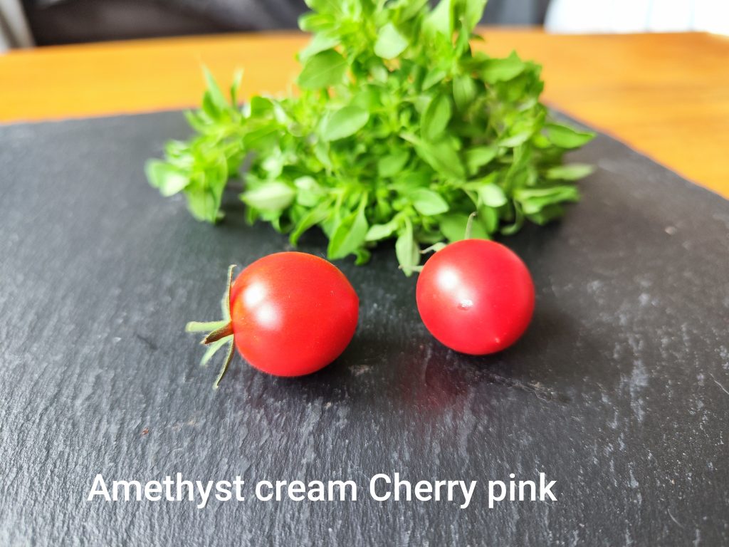 Amethyst cream cherry pink