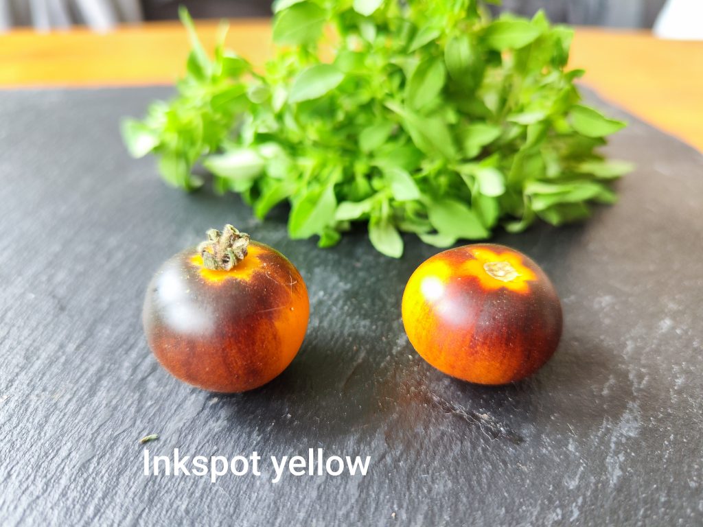 Inkspot yellow