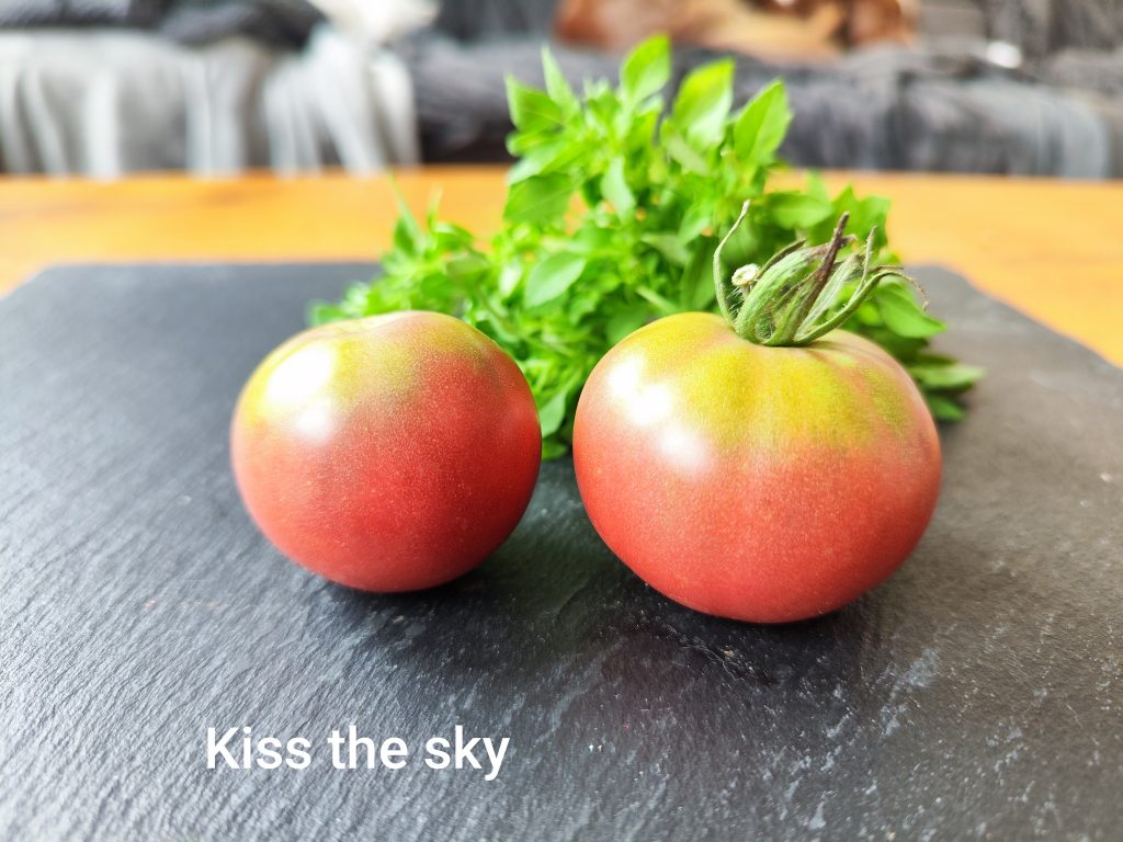 Kiss the sky