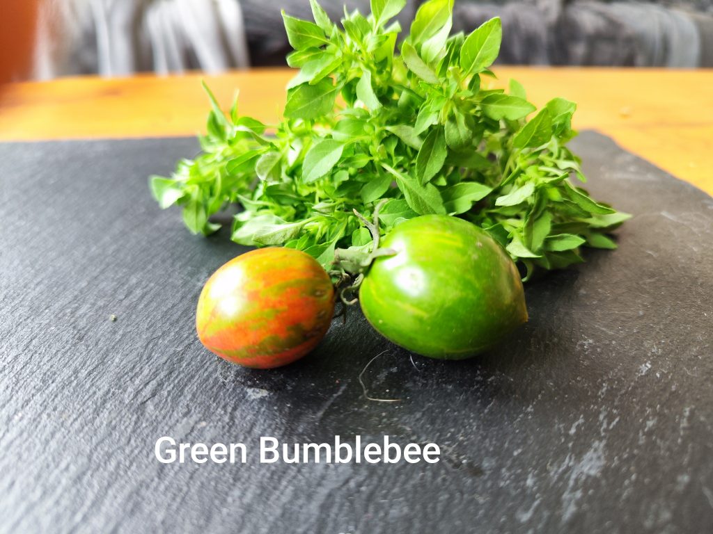 Green Bumblebee